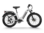 Himiway D5 Zebra Step-Thru – Tiefer Einstieg, starker Look: Dieses E-Fatbike bringt dich mit Stil durch Schnee, Sand und Stadtverkehr