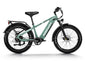 Himiway D5 Zebra – Kraftvolles E-Fatbike mit markantem Design, gebaut für Schnee, Sand und steile Trails