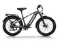 Himiway D5 Zebra – Leistungsstarkes Fatbike mit breiten 4-Zoll-Reifen, ideal für Schnee, Sand und Berge